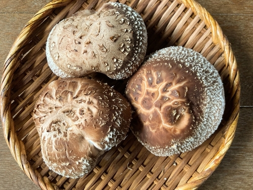 Translation missing: ja.board.image.alt.https: