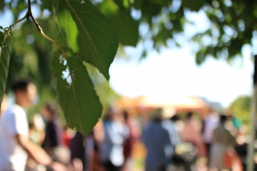 Translation missing: ja.board.image.alt.https: