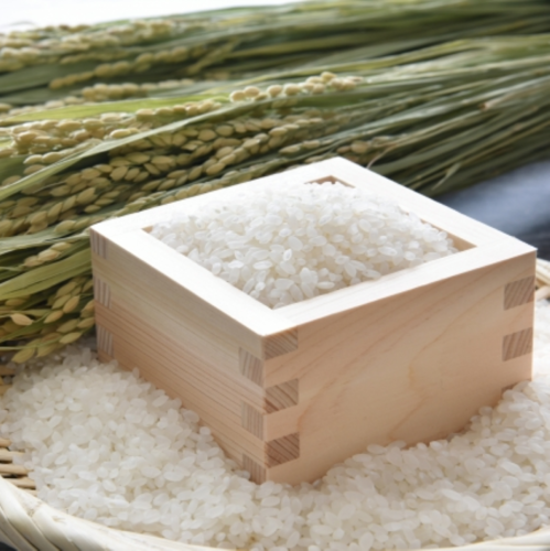 Translation missing: ja.board.image.alt.https: