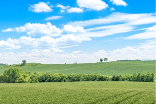 Translation missing: ja.board.image.alt.https: