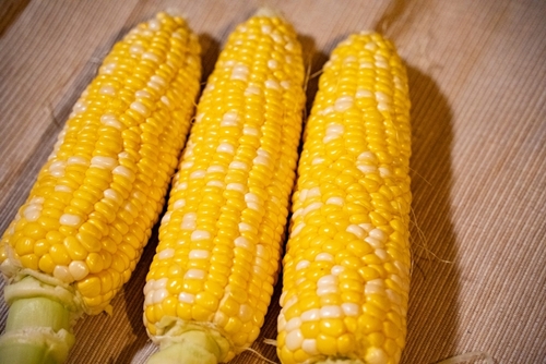 Translation missing: ja.board.image.alt.https: