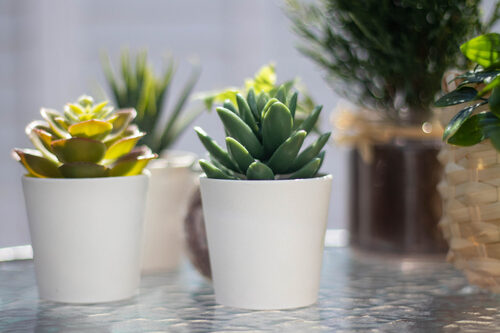 Translation missing: ja.board.image.alt.https: