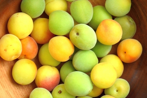 Translation missing: ja.board.image.alt.https: