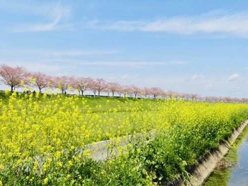 Translation missing: ja.board.image.alt.https: