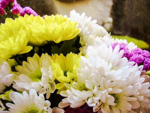 Translation missing: ja.board.image.alt.https: