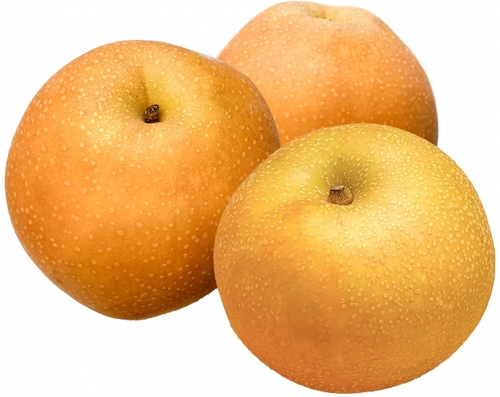 Translation missing: ja.board.image.alt.https: