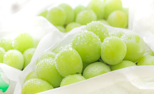 Translation missing: ja.board.image.alt.https: