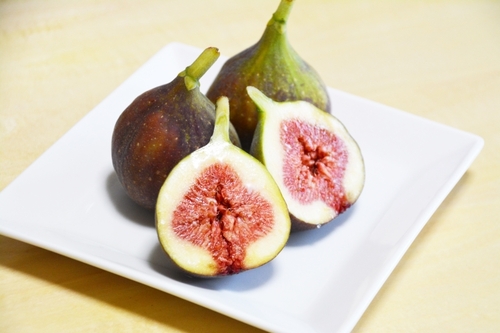 Translation missing: ja.board.image.alt.https: