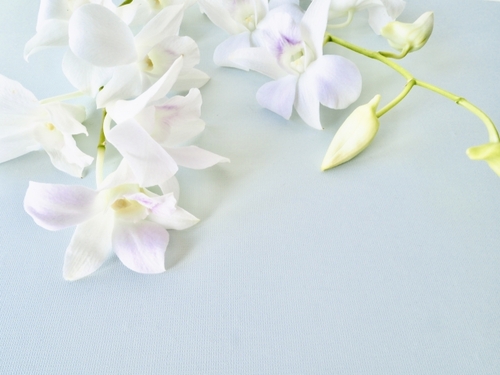 Translation missing: ja.board.image.alt.https: