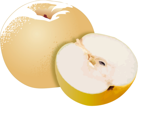 Translation missing: ja.board.image.alt.https: