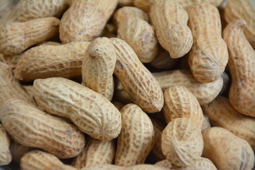 Translation missing: ja.board.image.alt.https: