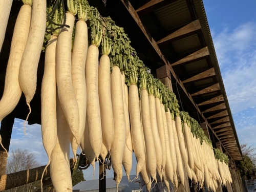 Translation missing: ja.board.image.alt.https: