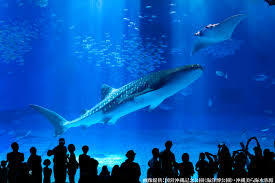 Translation missing: ja.board.image.alt.https: