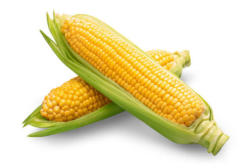 Translation missing: ja.board.image.alt.https: