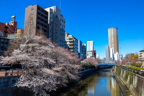 Translation missing: ja.board.image.alt.https: