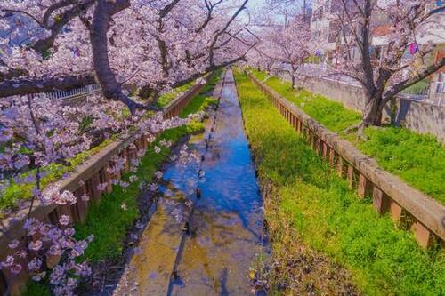 Translation missing: ja.board.image.alt.https: