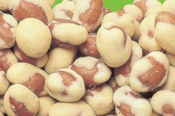 Translation missing: ja.board.image.alt.https: