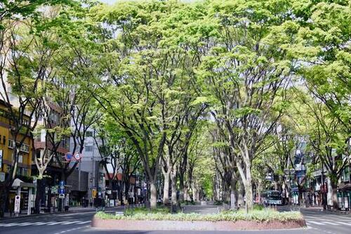 Translation missing: ja.board.image.alt.https: