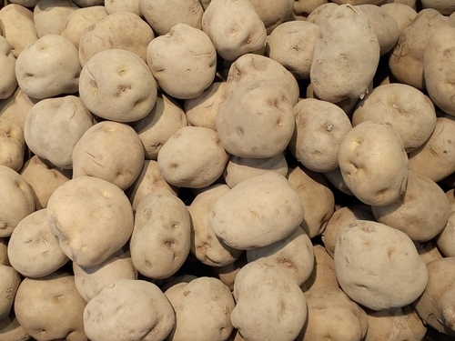 Translation missing: ja.board.image.alt.https: