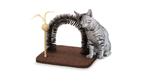 Translation missing: ja.board.image.alt.https: