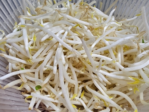 Translation missing: ja.board.image.alt.https: