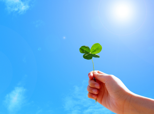 Translation missing: ja.board.image.alt.https: