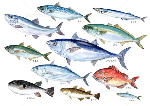 Translation missing: ja.board.image.alt.https: