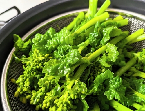 Translation missing: ja.board.image.alt.https: