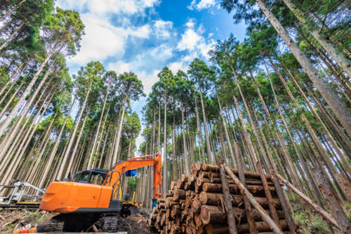 Translation missing: ja.board.image.alt.https: