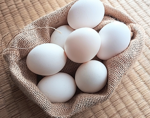 Translation missing: ja.board.image.alt.https: