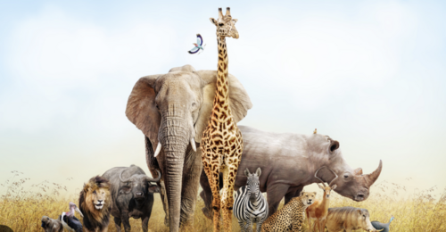 Translation missing: ja.board.image.alt.https: