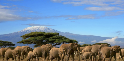 Translation missing: ja.board.image.alt.https: