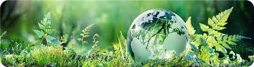 Translation missing: ja.board.image.alt.https: