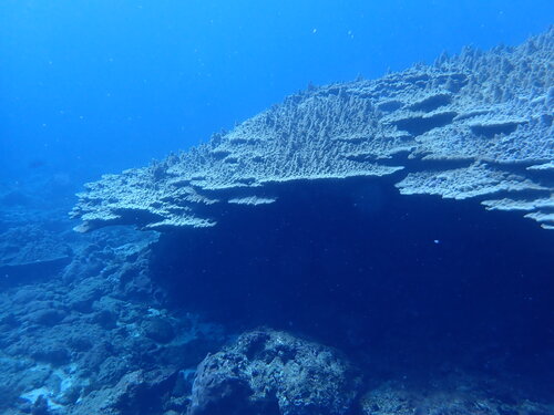 Translation missing: ja.board.image.alt.https: