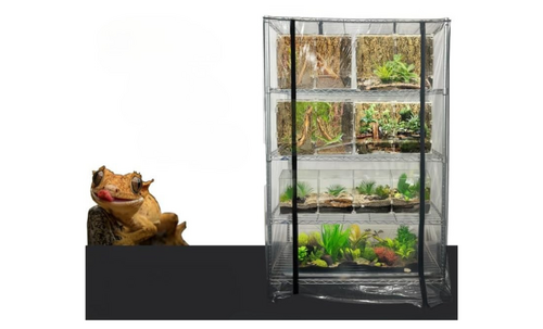 Translation missing: ja.board.image.alt.https: