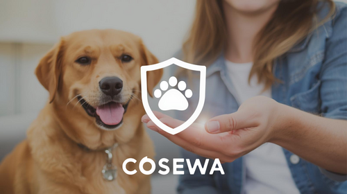 Translation missing: ja.board.image.alt.https: