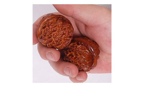 海に関するアイデア募集