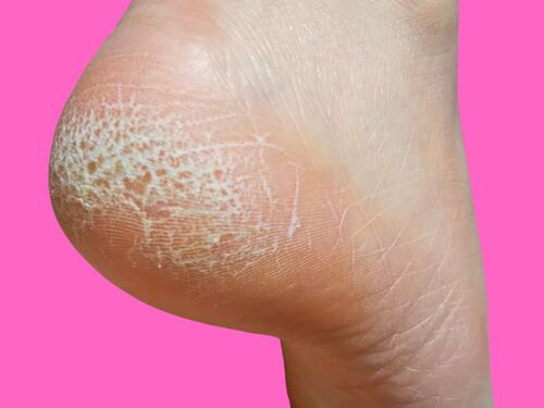 台所に関するアイデア募集