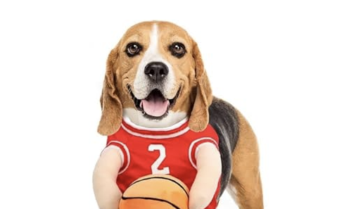 Translation missing: ja.board.image.alt.https: