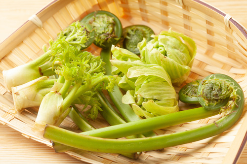 総合住宅に関するアイデア募集