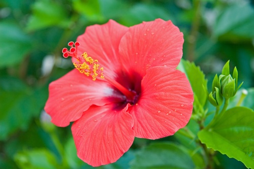 Translation missing: ja.board.image.alt.https: