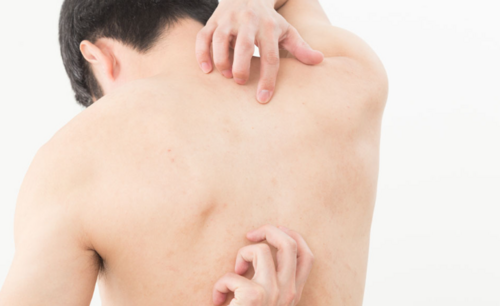 Translation missing: ja.board.image.alt.https: