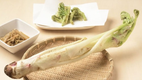 Translation missing: ja.board.image.alt.https: