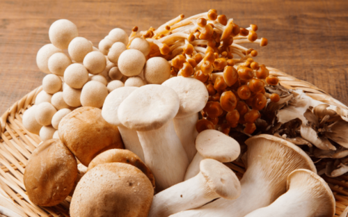 Translation missing: ja.board.image.alt.https: