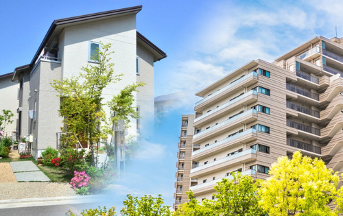 料理に関するアイデア募集