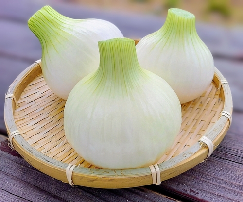 Translation missing: ja.board.image.alt.https: