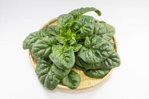 アパートに関するアイデア募集