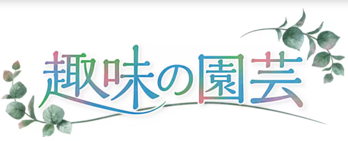 医師に関するアイデア募集