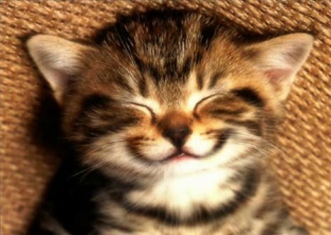 とっちゃんまん