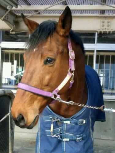 ぜにとったくん